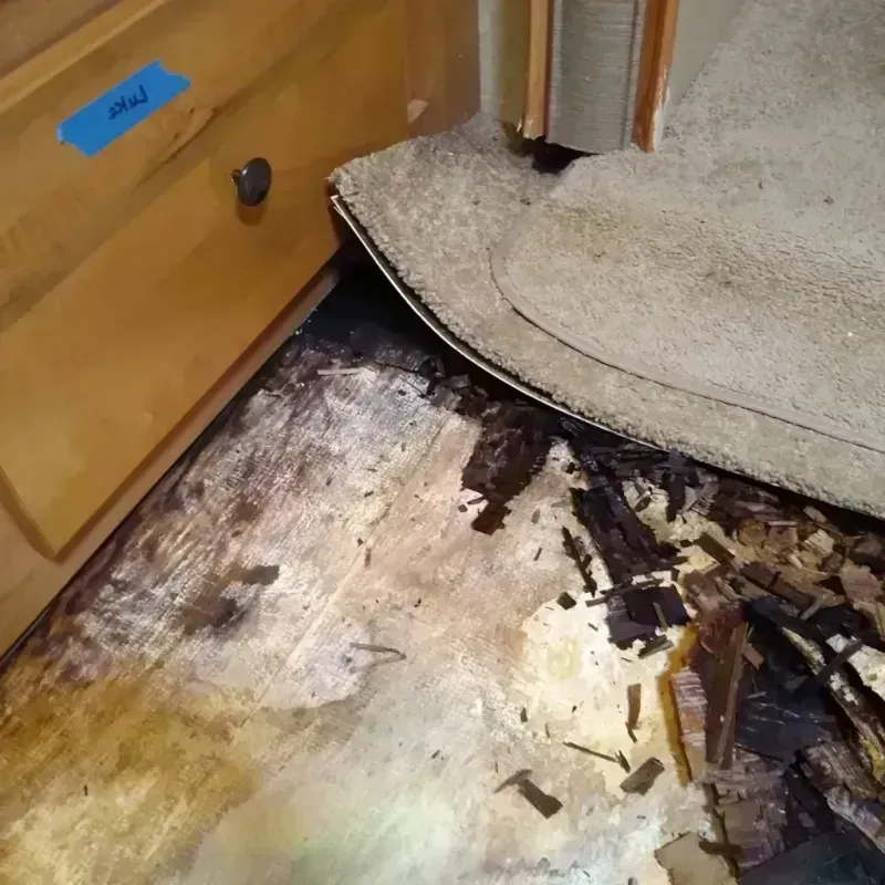 Wood Floor Water Damage in Norton County, KS